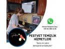 Pestvet Temizlik Hizmetleri