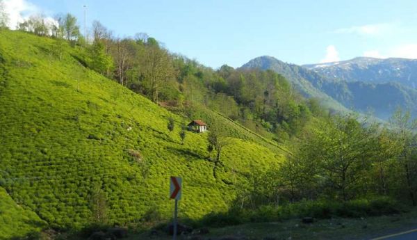 Artvin-Borçka_Hopa-Rize