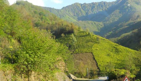 Artvin-Borçka_Hopa-Rize