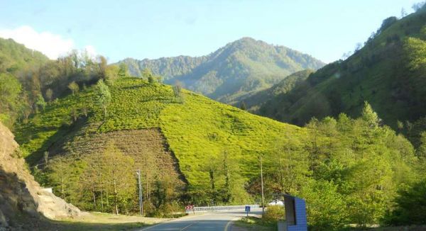 Artvin-Borçka_Hopa-Rize