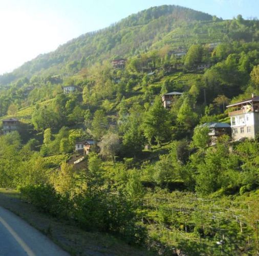 Artvin-Borçka_Hopa-Rize