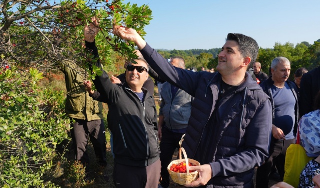 DOĞASEVERLER, 438 METRE YÜKSEKLİĞİNDEKİ KAYIŞDAĞI ORMANI’NDA DAĞ ÇİLEĞİ TOPLADI.