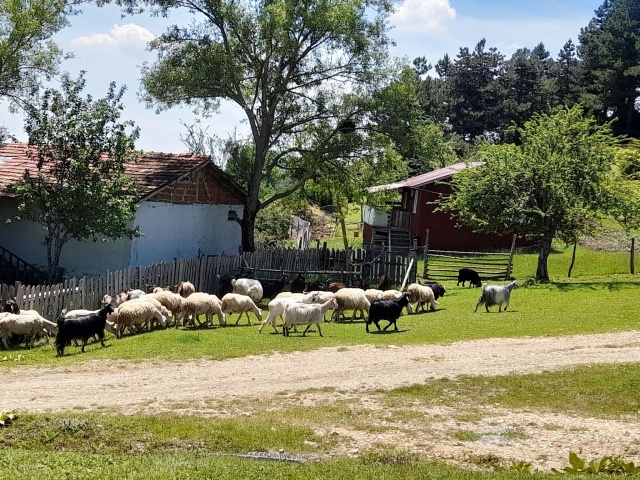 TARAKLI, KARAGÖL YAYLASI