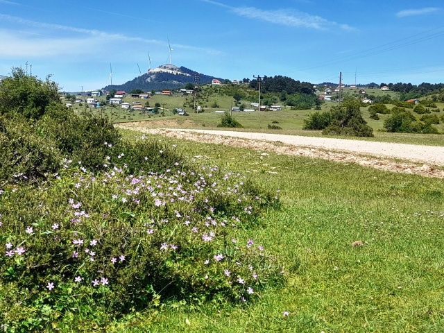 TARAKLI, KARAGÖL YAYLASI