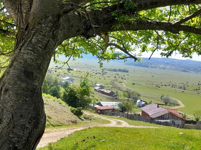 TARAKLI, KARAGÖL YAYLASI