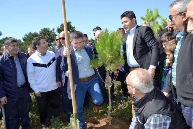 Ak Parti Ataşehir Ağaç Dikme Etkinliği 2016