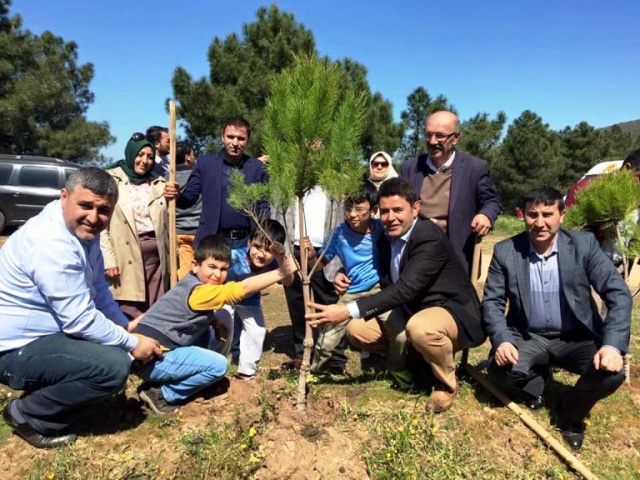 Ak Parti Ataşehir Ağaç Dikme Etkinliği 2016