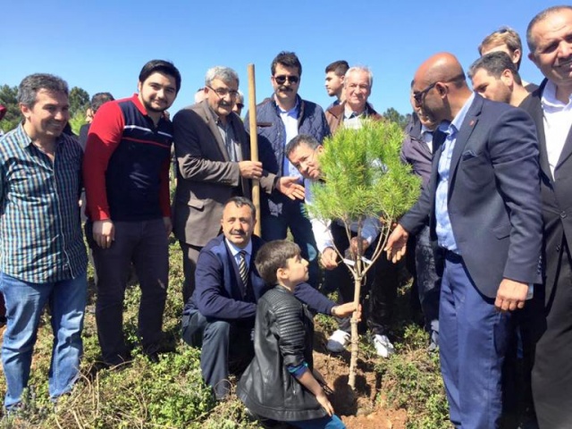 Ak Parti Ataşehir Ağaç Dikme Etkinliği 2016