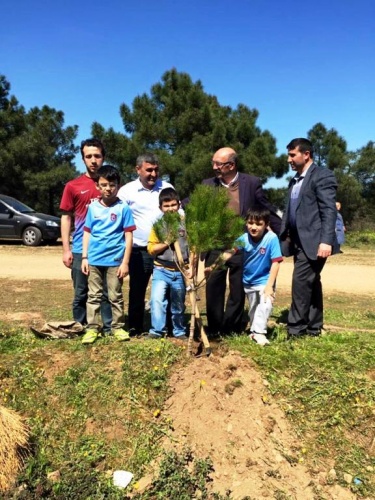 Ak Parti Ataşehir Ağaç Dikme Etkinliği 2016