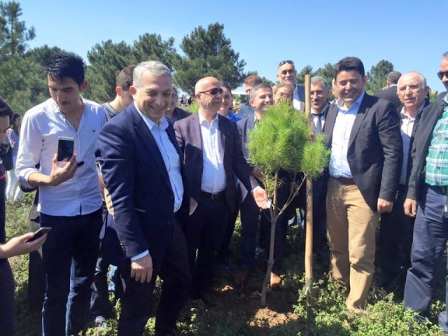 Ak Parti Ataşehir Ağaç Dikme Etkinliği 2016