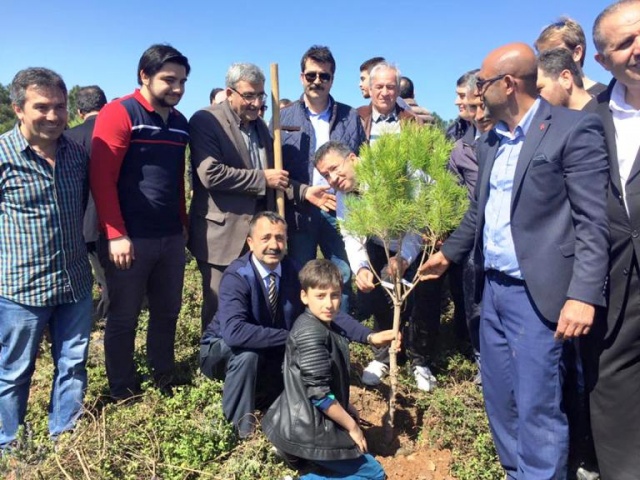 Ak Parti Ataşehir Ağaç Dikme Etkinliği 2016