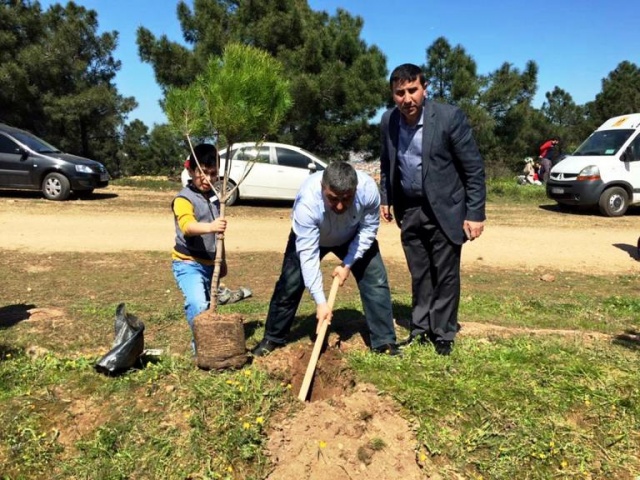 Ak Parti Ataşehir Ağaç Dikme Etkinliği 2016