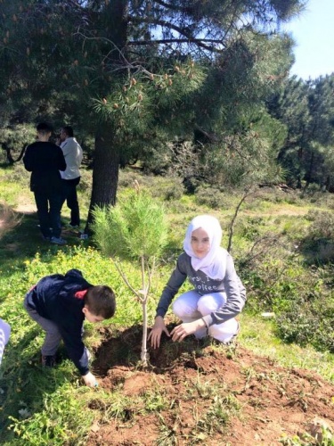 Ak Parti Ataşehir Ağaç Dikme Etkinliği 2016