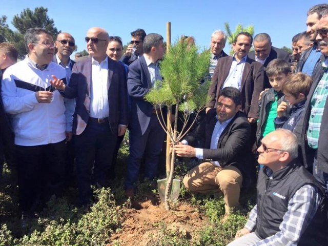 Ak Parti Ataşehir Ağaç Dikme Etkinliği 2016