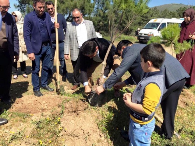 Ak Parti Ataşehir Ağaç Dikme Etkinliği 2016