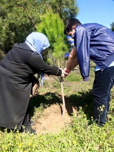 Ak Parti Ataşehir Ağaç Dikme Etkinliği 2016