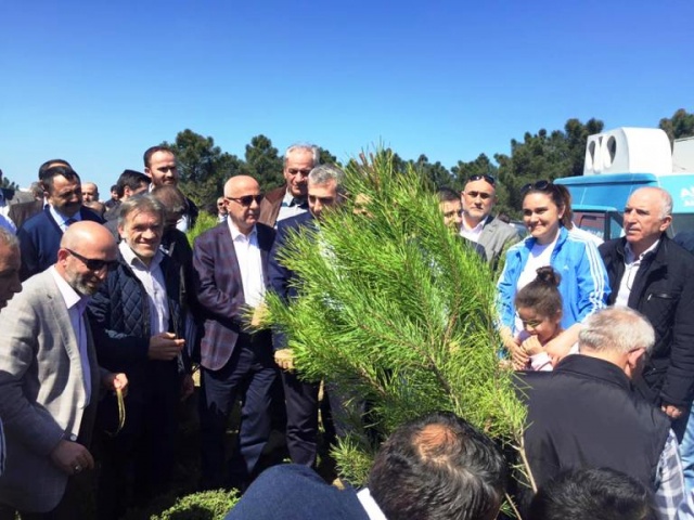 Ak Parti Ataşehir Ağaç Dikme Etkinliği 2016