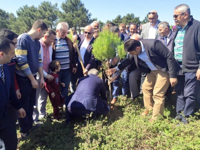 Ak Parti Ataşehir Ağaç Dikme Etkinliği 2016