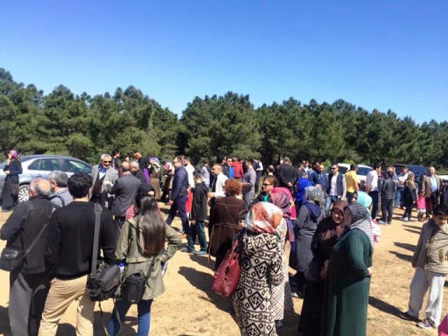 Ak Parti Ataşehir Ağaç Dikme Etkinliği 2016