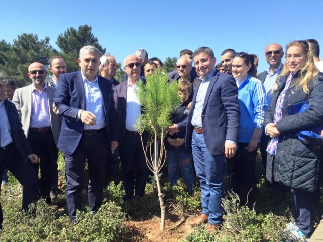 Ak Parti Ataşehir Ağaç Dikme Etkinliği 2016