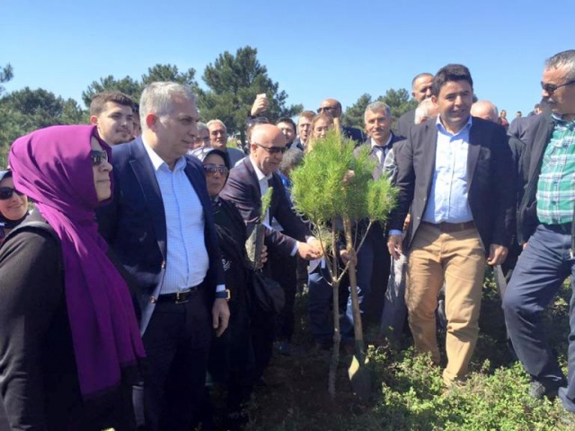 Ak Parti Ataşehir Ağaç Dikme Etkinliği 2016