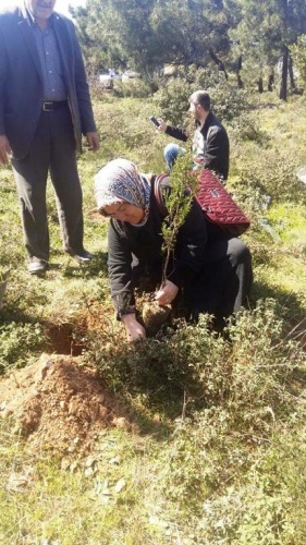 Ak Parti Ataşehir Ağaç Dikme Etkinliği 2016