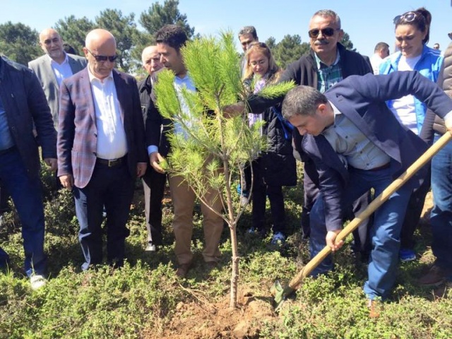 Ak Parti Ataşehir Ağaç Dikme Etkinliği 2016