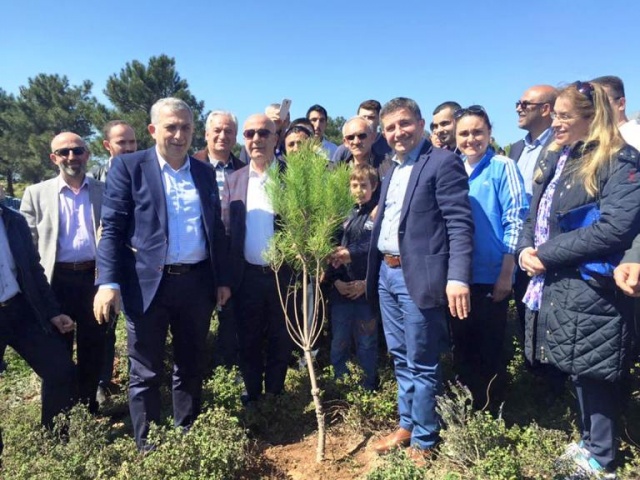 Ak Parti Ataşehir Ağaç Dikme Etkinliği 2016