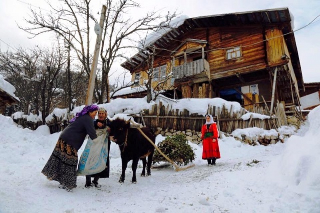 Artvin Kış Manzaraları 2016