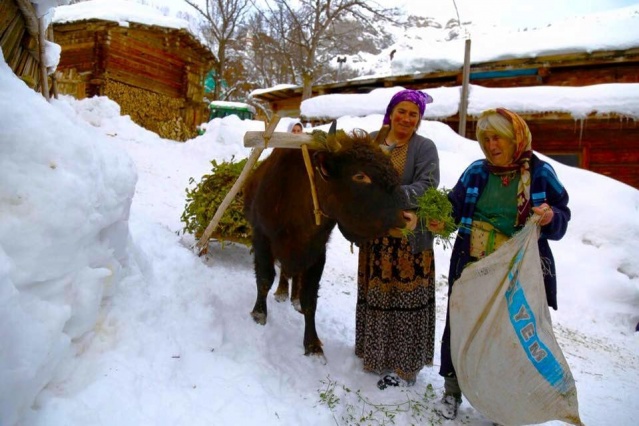 Artvin Kış Manzaraları 2016