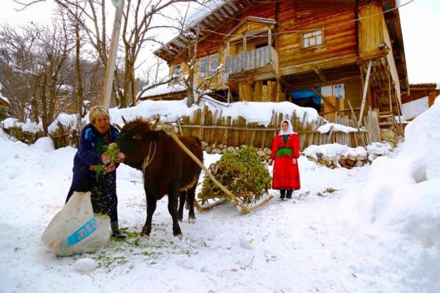 Artvin Kış Manzaraları 2016