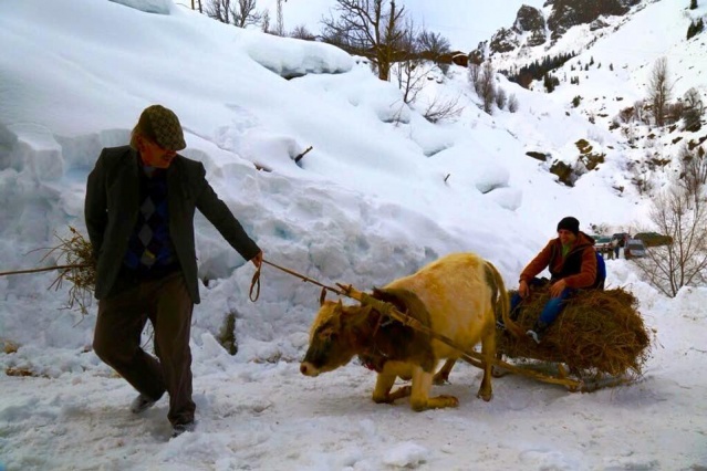 Artvin Kış Manzaraları 2016