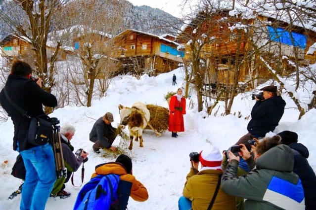 Artvin Kış Manzaraları 2016