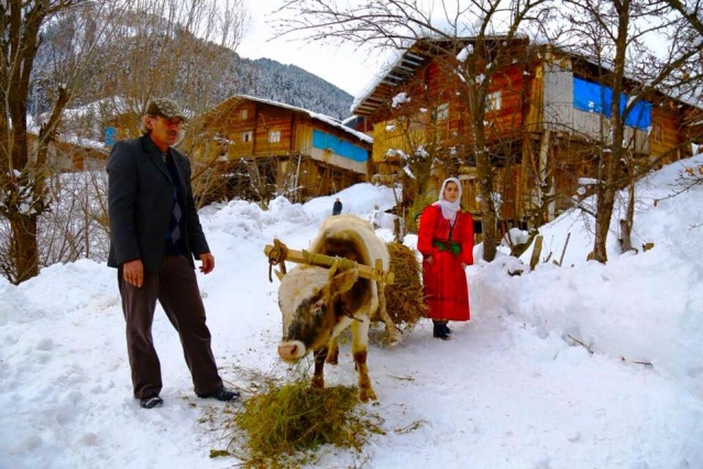 Artvin Kış Manzaraları 2016