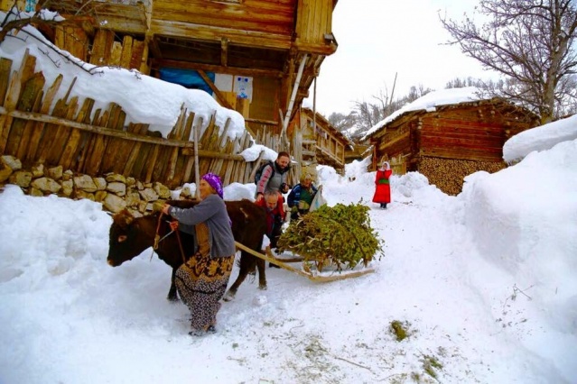 Artvin Kış Manzaraları 2016