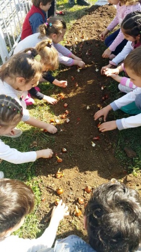 Ataşehir'de Çocuklar Baharı Lale Soğanı Dikerek Karşıladılar