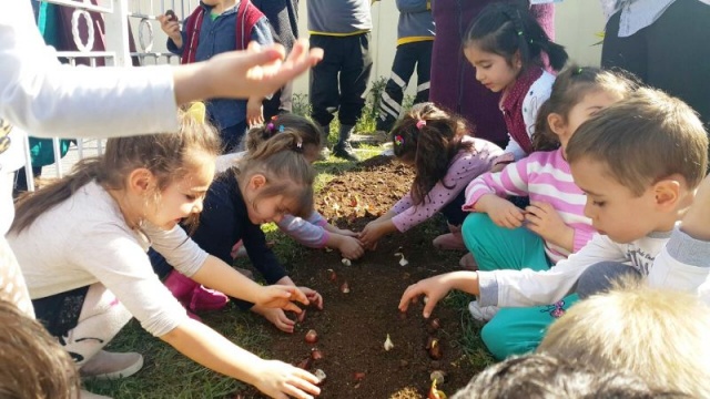 Ataşehir'de Çocuklar Baharı Lale Soğanı Dikerek Karşıladılar