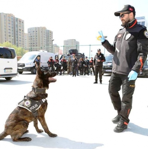 Polis Haftası Etkinliği, Ataşehir Emlak Konut Ortaokulu, 2017