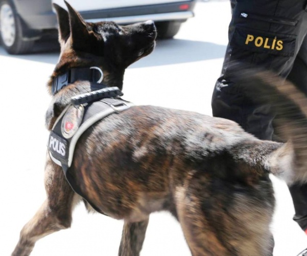 Polis Haftası Etkinliği, Ataşehir Emlak Konut Ortaokulu, 2017