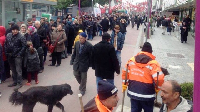 Ataşehir Hamsi Festivali, 2017