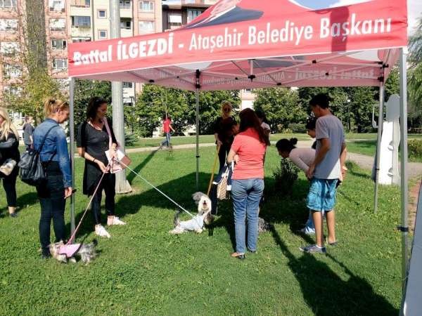 Hayvanseverler Ataşehir Kamelya Parkta Buluştu