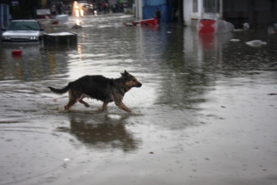 YENİSAHRA SEL  BASKINI