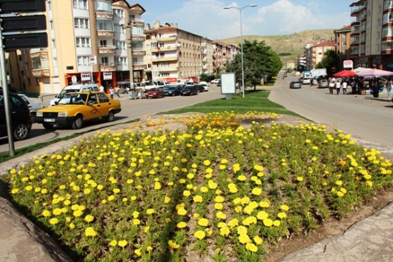 Çankırı 50 Bin Çiçekle Renklendi