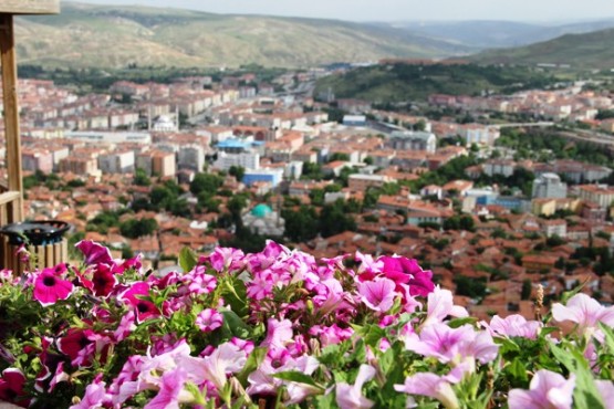 Çankırı 50 Bin Çiçekle Renklendi