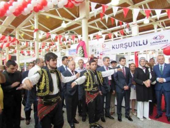 İstanbul Feshane Çankırı Günleri, 2014