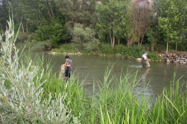 ÇÖREKÇİLER KÖYÜ RESİMLERİ 2011