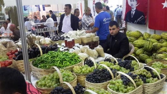 İstanbul Feshane Çankırı Günleri, 2014