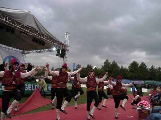 ILGAZ FESTİVALİ 2014