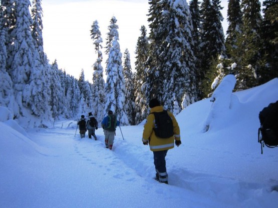 Ilgaz Küçükhaçet Tırmanışı, 2015