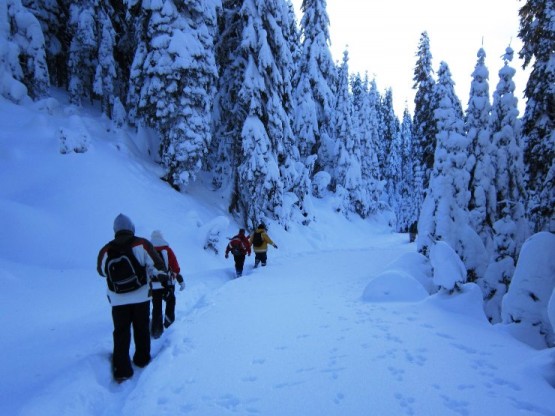 Ilgaz Küçükhaçet Tırmanışı, 2015